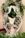 Click to open image