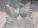 Click to open image