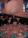 Click to open image