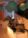 Click to open image