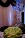 Click to open image